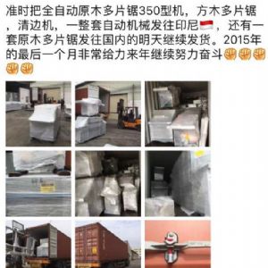 2017年發(fā)貨國外rn400-250型原木多片鋸生產線&nbsp;，鋸木機生產線