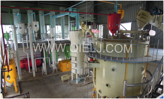 茶籽油設備 山茶油、山茶籽油國家大力提倡推廣的木本油脂(圖6)